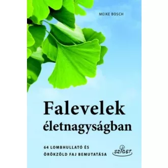 Falevelek életnagyságban /64 lombhullató és örökzöld faj bemutatása (Meike Bosch)