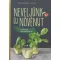 Neveljünk új növényt a konyhai maradékokból! (Melissa Raupach)