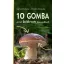 10 gomba amit bátran leszedhet! (Gerhard Schuster)