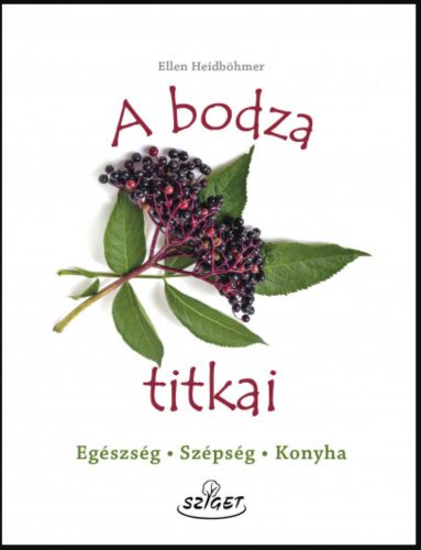 A bodza titkai - Egészség, szépség, konyha - Ellen Heidböhmer