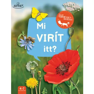 Mi virít itt?