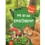 Mi él az erdőben?