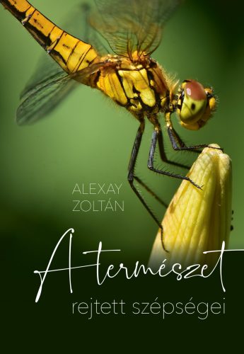A természet rejtett szépségei - Alexay Zoltán