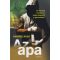Az apa - Te meddig mennél el, hogy megvédd a gyermeked? - Gabriel Russ
