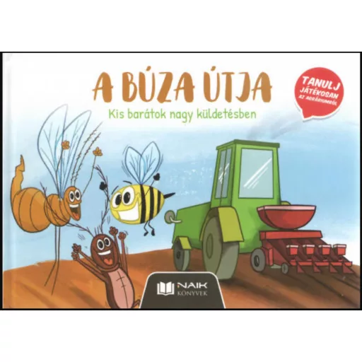 A búza útja