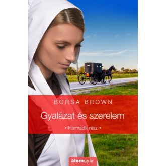   Gyalázat-trilógia 3. - Gyalázat és szerelem - Borsa Brown