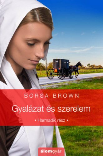 Gyalázat-trilógia 3. - Gyalázat és szerelem - Borsa Brown