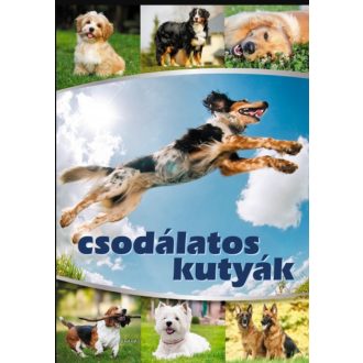 Csodálatos kutyák