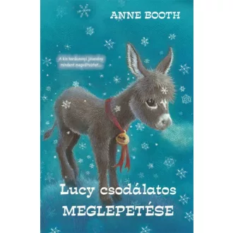Lucy csodálatos meglepetése (Anne Booth)