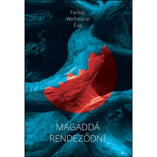 Magaddá rendeződni - Farkas Wellmann Éva