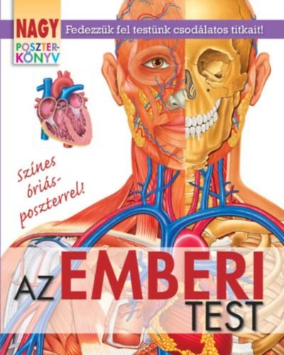 Nagy poszterkönyv - Az emberi test (Winter Angéla)