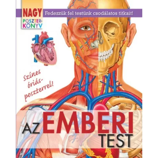 Nagy poszterkönyv - Az emberi test (Winter Angéla)