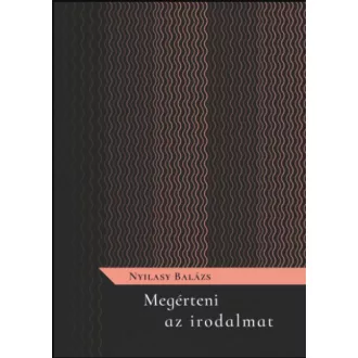 MEGÉRTENI AZ IRODALMAT