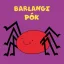 Barlangi pók - Bartos Erika