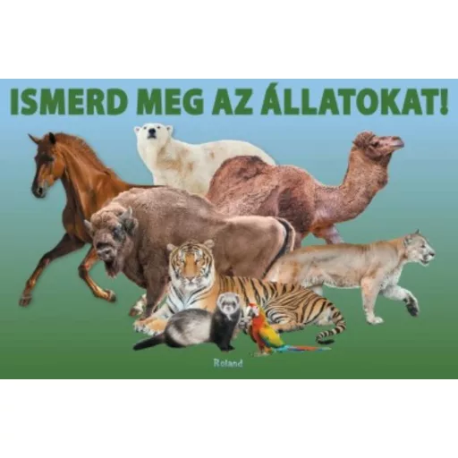 Ismerd meg az állatokat! (leporelló) (Leporelló)