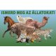 Ismerd meg az állatokat! (leporelló) (Leporelló)