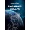 Magányos csillag - Varga Dániel