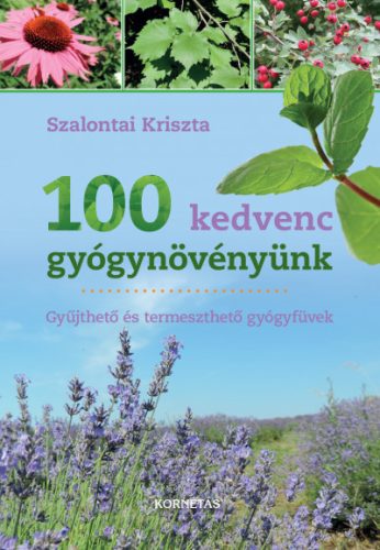 100 kedvenc gyógynövényünk - Szalontai Kriszta