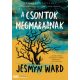 A csontok megmaradnak - Jesmyn Ward