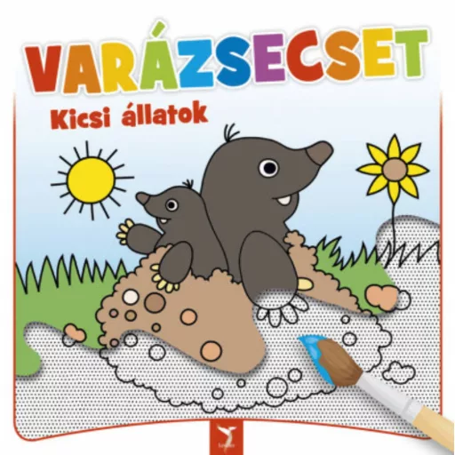 VARÁZSECSET - Kicsi állatok (Kifestő)