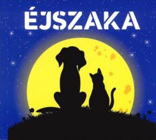Éjszaka - Tematikus leporelló gyermekeknek