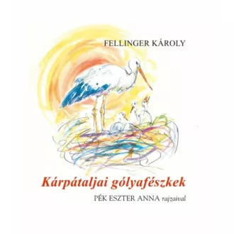 Kárpátaljai gólyafészkek - Fellinger Károly