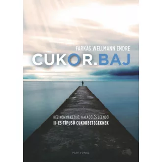 CUKOR.BAJ - Kézikönyv kezdő, haladó és leendő II-es típusú cukorbetegeknek (Farkas Wellmann End