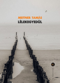 Lélekegyedül - Meitner Tamás