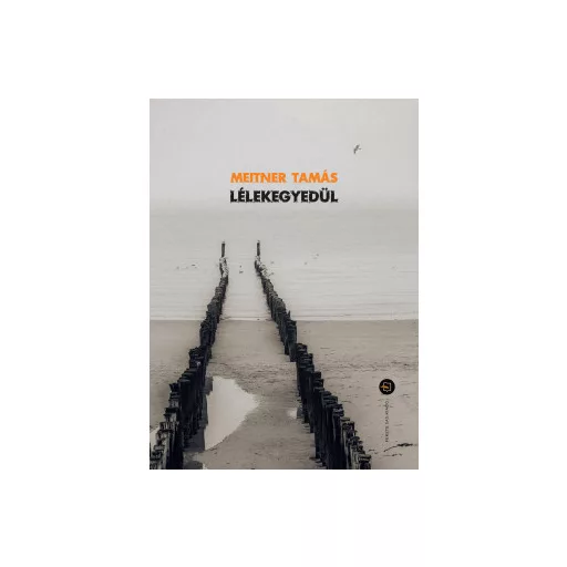 Lélekegyedül - Meitner Tamás