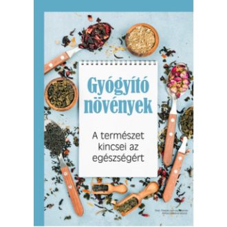   A demencia úttalan útjain - Segítőkönyv demens hozzátartozóval élő családoknak - Farkas Márta