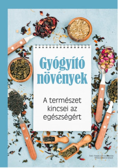 A demencia úttalan útjain - Segítőkönyv demens hozzátartozóval élő családoknak - Farkas Márta