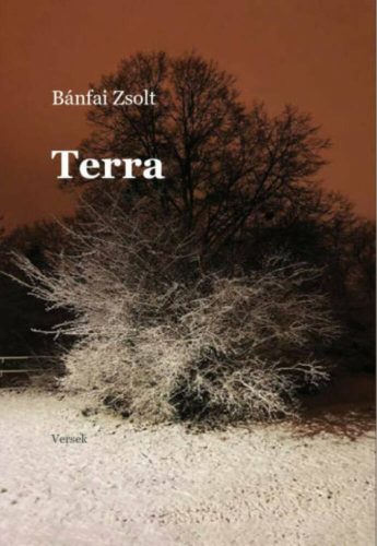 Terra - Bánfai Zsolt