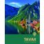 Tavak - Lenyűgöző nagyvilág - Illyés Laura