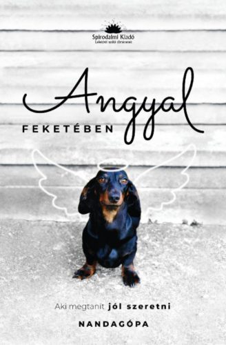 Angyal feketében - Aki megtanít jól szeretni - dr. Schönek Zoltán István