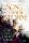 A Song to Raise a Storm - A dal, amely vihart kavar - Julia Dippel