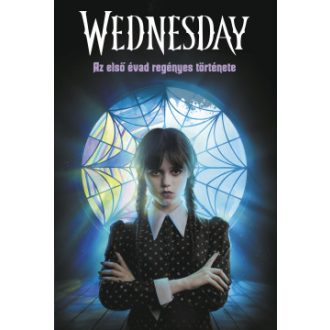   Wednesday - Az első évad regényes története - Tehlor Kay Mejia