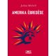 Amerika ébredése - Joshua Mitchell