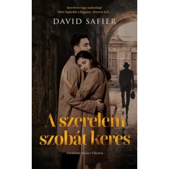 A szerelem szobát keres - David Safier