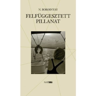 Felfüggesztett pillanat - N. Borosnyay Katalin