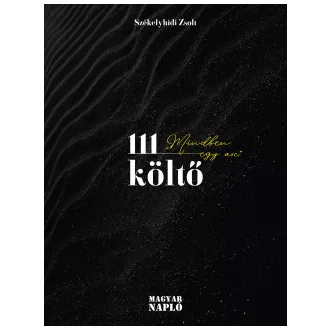 111 költő - Székelyhidi Zsolt