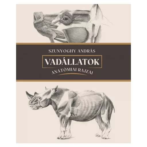 Vadállatok anatómiai rajzai - Szunyoghy András
