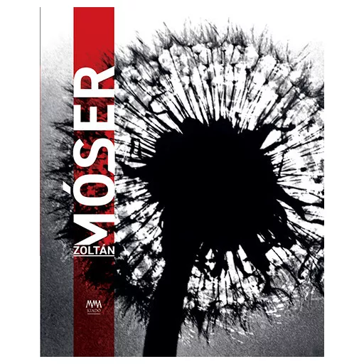 Amor Vitae - Móser Zoltán