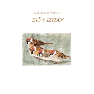Eső a szitán - Vasi Ferenc Zoltán