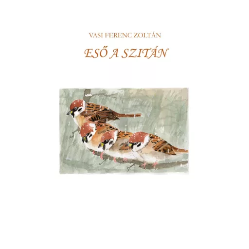 Eső a szitán - Vasi Ferenc Zoltán