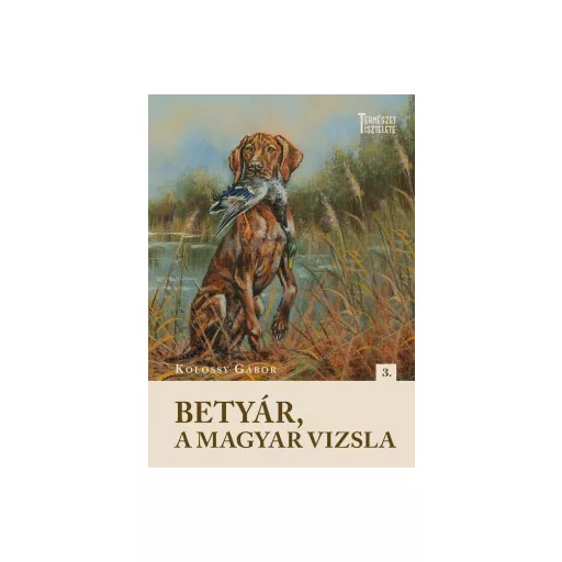 Betyár, a magyar vizsla - Kolossy Gábor