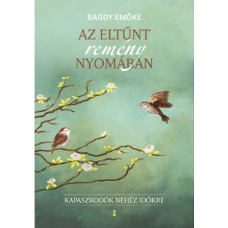 Az eltűnt remény nyomában - Bagdy Emőke