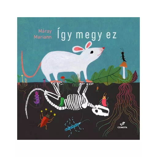 Így megy ez - Máray Mariann
