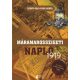 Máramarosszigeti napló 1919 - Szent-Gály-Faur Aurél