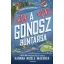 A Gonosz bűntársa - Hannah Nicole Maehrer