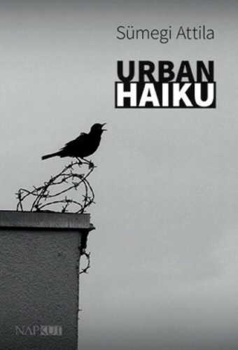 Urban haiku - Sümegi Attila